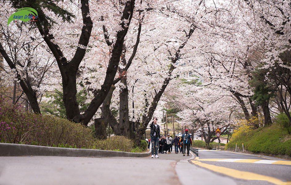 Công viên tháp Namsan